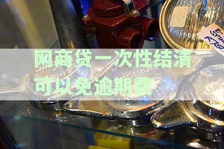 一次性还清网商贷是否可以避免逾期费用？了解详细规定和操作步骤！