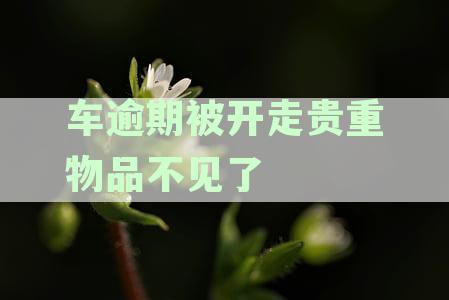 车逾期被开走贵重物品不见了