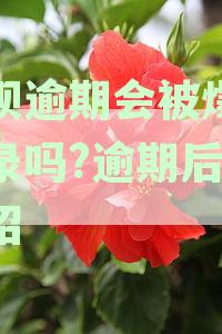 新支付宝借呗逾期后，是否会联系通讯录内所有成员？