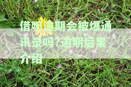 借呗逾期会被电话骚扰吗？借呗逾期会骚扰家人吗？借呗逾期会有电话催收吗？
