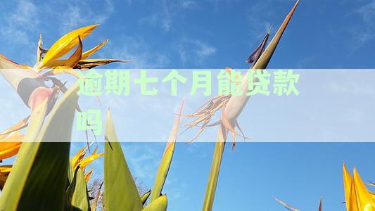 逾期七个月后，我能否重新申请信用卡贷款？
