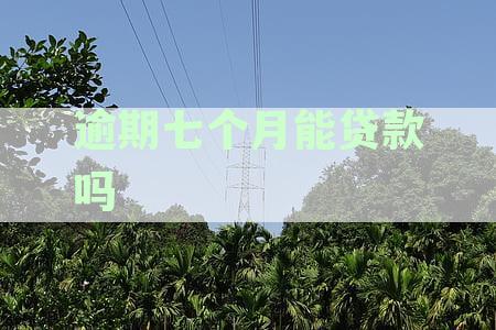 逾期七个月能贷款吗