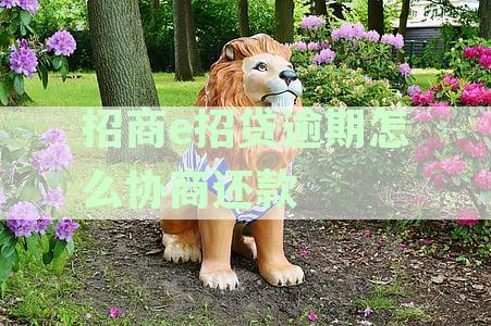 当您的e贷逾期50天时应该怎么办？这里有全面解决方案！