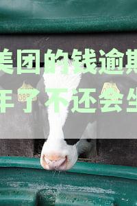欠美团的钱逾期好几年了不还会坐牢吗？怎么办？