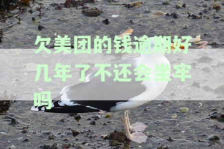 欠美团的钱逾期好几年了不还会坐牢吗