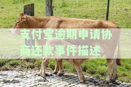支付宝逾期还款协商全方位指南：了解流程、申请步骤及可能影响