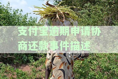 支付宝逾期申请协商还款事件描述100字-支付宝逾期协商还款事件描述怎么写