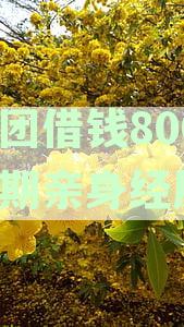 美团借钱逾期如何解决？美团借钱逾期会上征信吗？