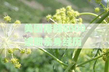 美团借钱逾期会上征信吗？如何处理？影响贷款吗？