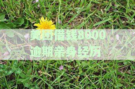 美团借钱8000逾期亲身经历