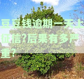 豆豆钱逾期还款政策：几天逾期就会要求全额还款？一次性还清是否可行？