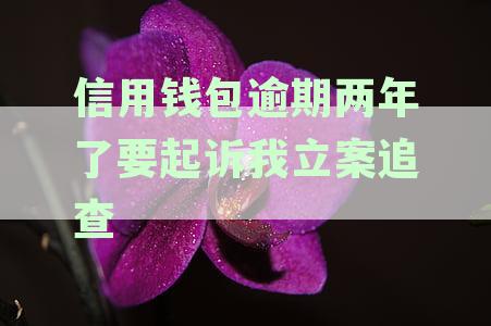 信用钱包逾期2年：从羊小咩还款？后果如何？处理方式和可能的诉讼