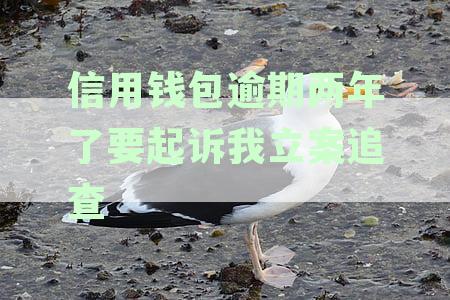 信用钱包逾期一年额度不多，是否会被起诉？逾期还款后果及解决方法全面解析
