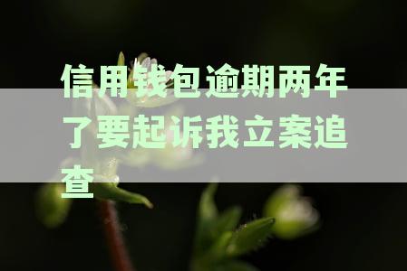 信用钱包逾期后的再借款指南：信用卡与贷款申请策略