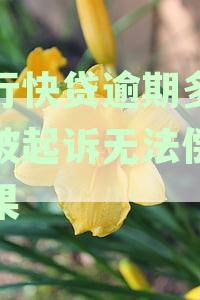 建设银行快贷逾期后的法律后果及解决办法，逾期多久会被起诉？