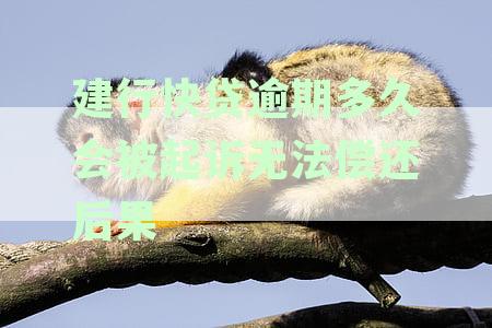 建行快贷逾期多久会被起诉无法偿还后果