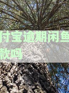 支付宝逾期闲鱼能收款吗？安全可靠吗？