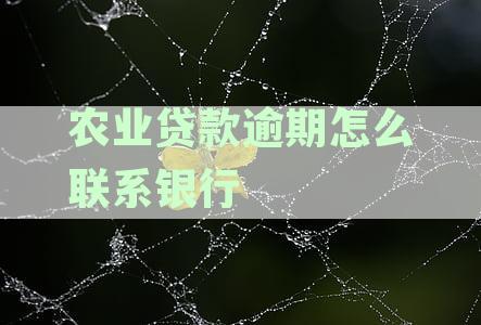 中国农业银行逾期贷款怎么办？逾期多久会被起诉？利息怎么算？