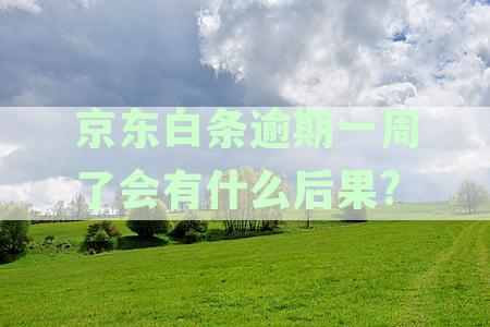 逾期一周后果严重，如何解决？