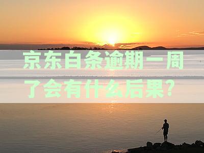 逾期后还款，是否可以继续使用？