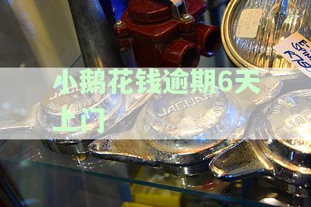 小鹅花钱逾期20天未还款，真的会上门催收吗？