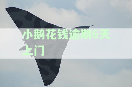 小鹅花钱逾期10天将面临起诉：了解资讯、避免后果和责任全攻略