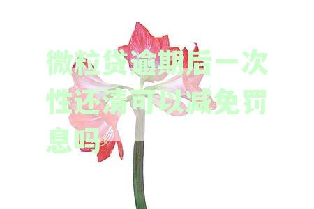 一次性还清微粒贷逾期款：能否减免罚息？操作步骤与安全风险解析