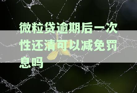 微粒贷逾期后一次性还清可以减免罚息吗是真的吗