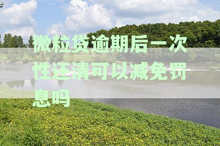 微粒贷逾期后一次性还清款，是否还有再次借款的机会？