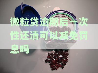微粒贷逾期后一次性还清可以减免罚息吗