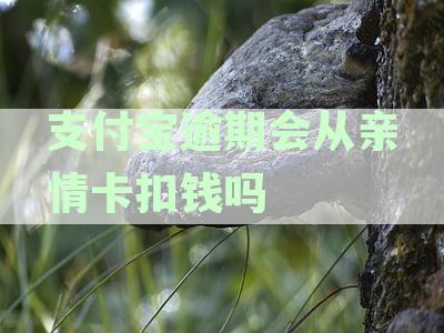 支付宝逾期亲情号支付问题解决指南：避免扣款、影响信用的实用资讯