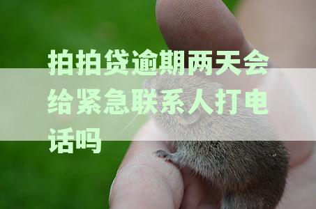 拍拍贷逾期两天：紧急联系人是否会接到催收电话？