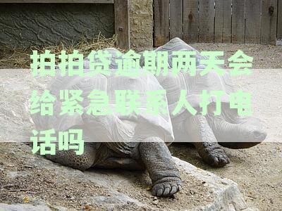 拍拍贷逾期两天会给紧急联系人打电话吗安全吗？