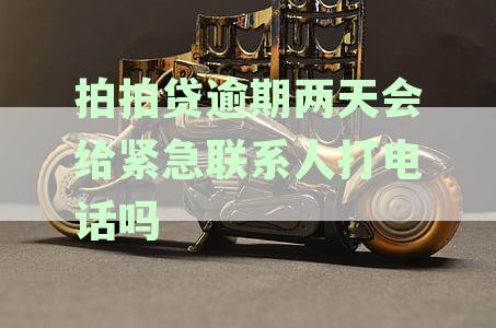 拍拍贷逾期：家人是否会接到两天后的电话催收？