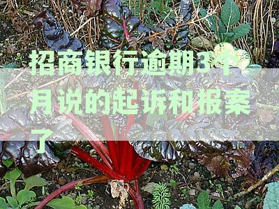 招商银行逾期3个月后的起诉和报案：你可能会面临的后果和应对策略