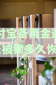 七天备用金逾期还款期限：如何避免逾期并了解相关政策？