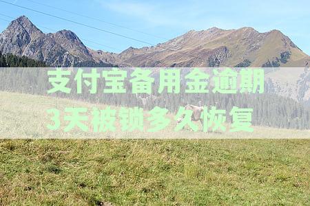 支付宝备用金逾期3天后解锁时间及恢复使用详解