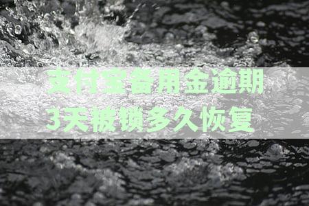支付宝备用金逾期三天后解锁时间及恢复方法全面解析，助您轻松解决逾期困扰