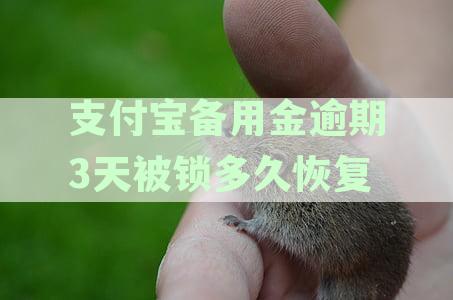 支付宝备用金逾期3天被锁多久恢复