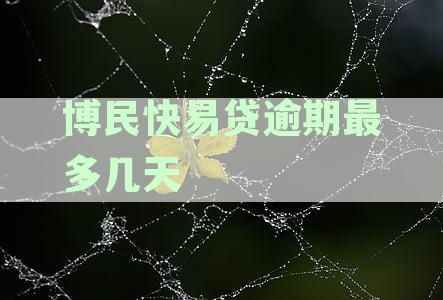 博民快易贷逾期最多几天