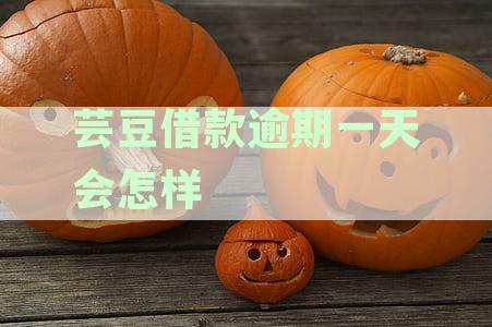 芸豆借款逾期一天会怎样
