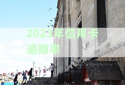 2023年信用卡逾期率数据全面解析：逾期原因、影响及如何降低逾期风险