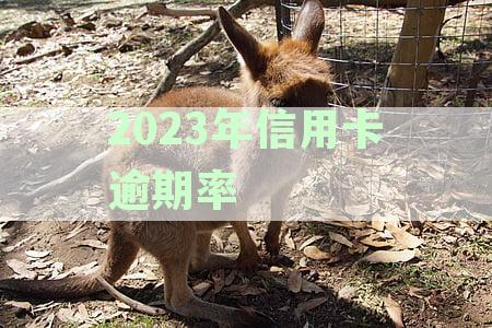 2023年信用卡逾期率降低的可能性及影响因素分析