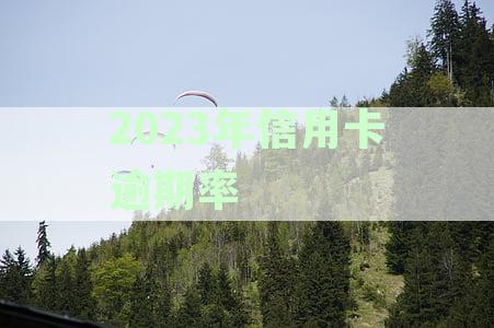 2020年中国信用卡逾期率：最高录及全国逾期总金额