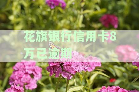 信用卡逾期6万，悔恨经历警示未来