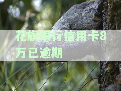 花旗银行信用卡还款困扰：逾期8万，究竟多久才能解决？