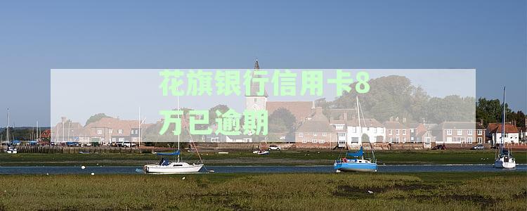 花旗银行贷款逾期：如何妥善处理、常见原因及解决方案全解析