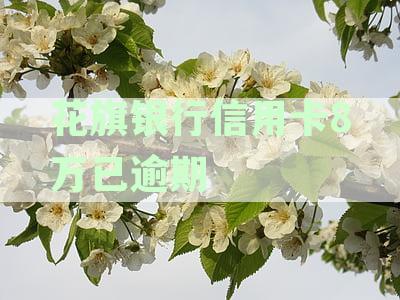 花旗银行信用卡8万已逾期
