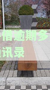 放心借逾期多久会上征信：解答你的信用疑虑