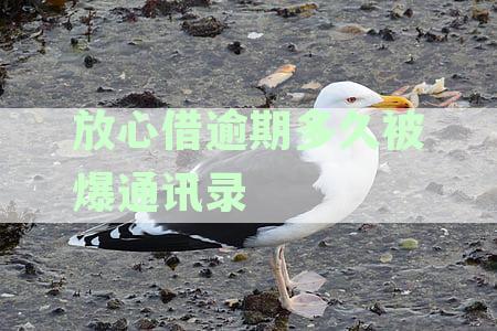 安心无忧：抖音放心借逾期后的处理与还款建议
